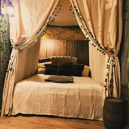 L'auberge Du Trone Romantique Medieval Jacuzzi * サン・テティエンヌ
