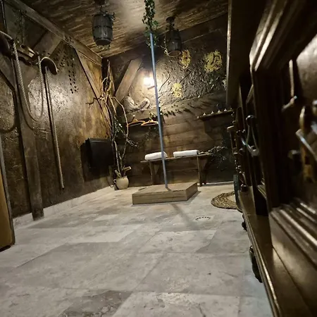 L'auberge Du Trone Romantique Medieval Jacuzzi * サン・テティエンヌ