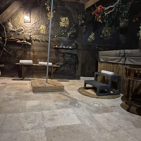 L'auberge Du Trone Romantique Medieval Jacuzzi アパート サン・テティエンヌ